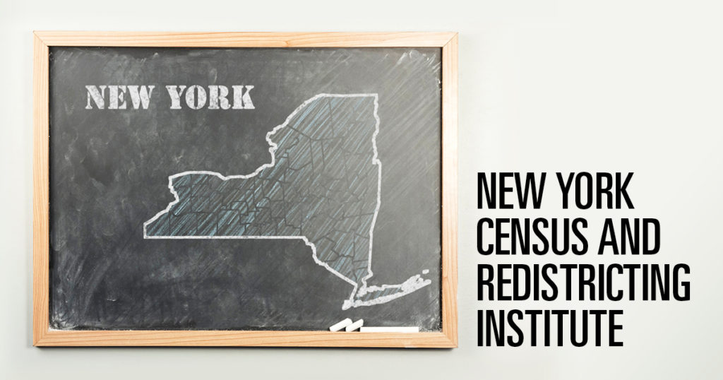 New York Census and Redistricting Institute