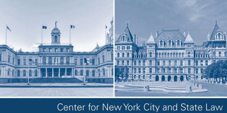 Center for New York City and State Law